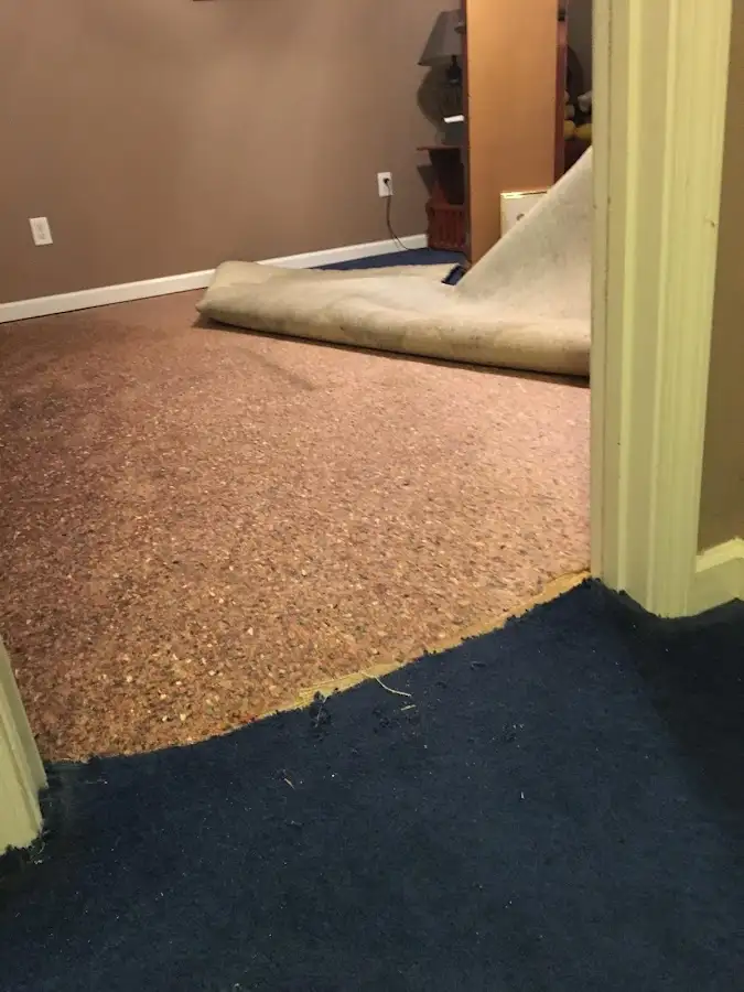 Carpet pad removal revealing water damage during Drying & Dehumidification in Fountainhead-Orchard Hills
