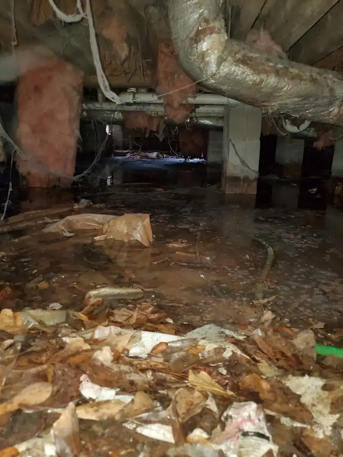 Crawl space flood assessment for Leak Detection & Repair in Fountainhead-Orchard Hills